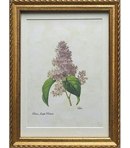 Amazon.co.jp: 完品 宮田三郎オリジナル木版画全20枚揃『宮田三郎木版